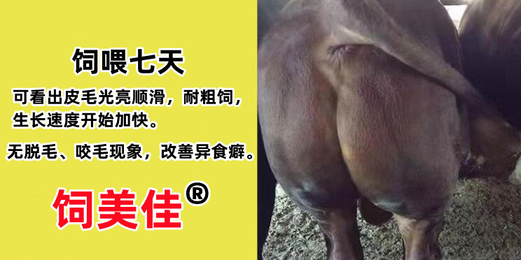 牛羊催肥劑價(jià)格35元拌料1000斤全國(guó)包郵