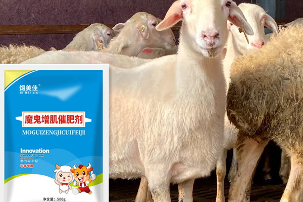 網(wǎng)上賣的牛羊催肥劑有用么？