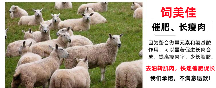 牛羊小料催肥劑快長 多長瘦肉牛羊小料催肥劑廠家直發(fā)