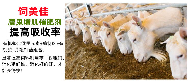 肉牛催肥肉羊催肥劑