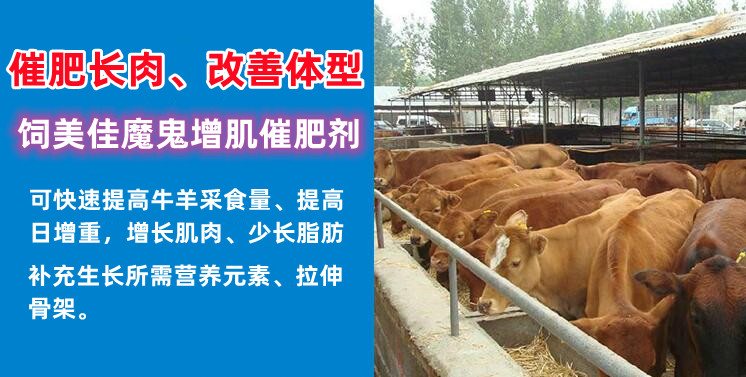 肉牛去油收肚添加劑有哪些？