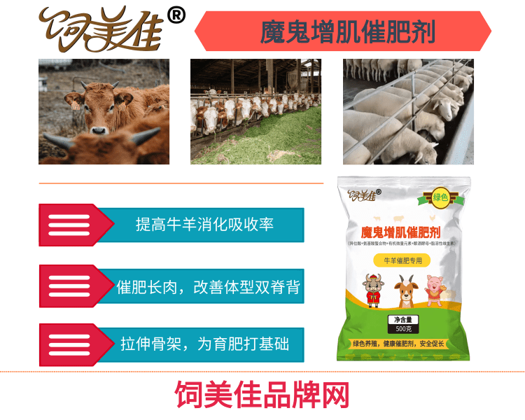 牛催肥添加劑 肉牛催肥促長添加劑廠家發(fā)貨