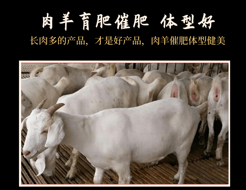 牛催肥的添加劑那種比較好用？