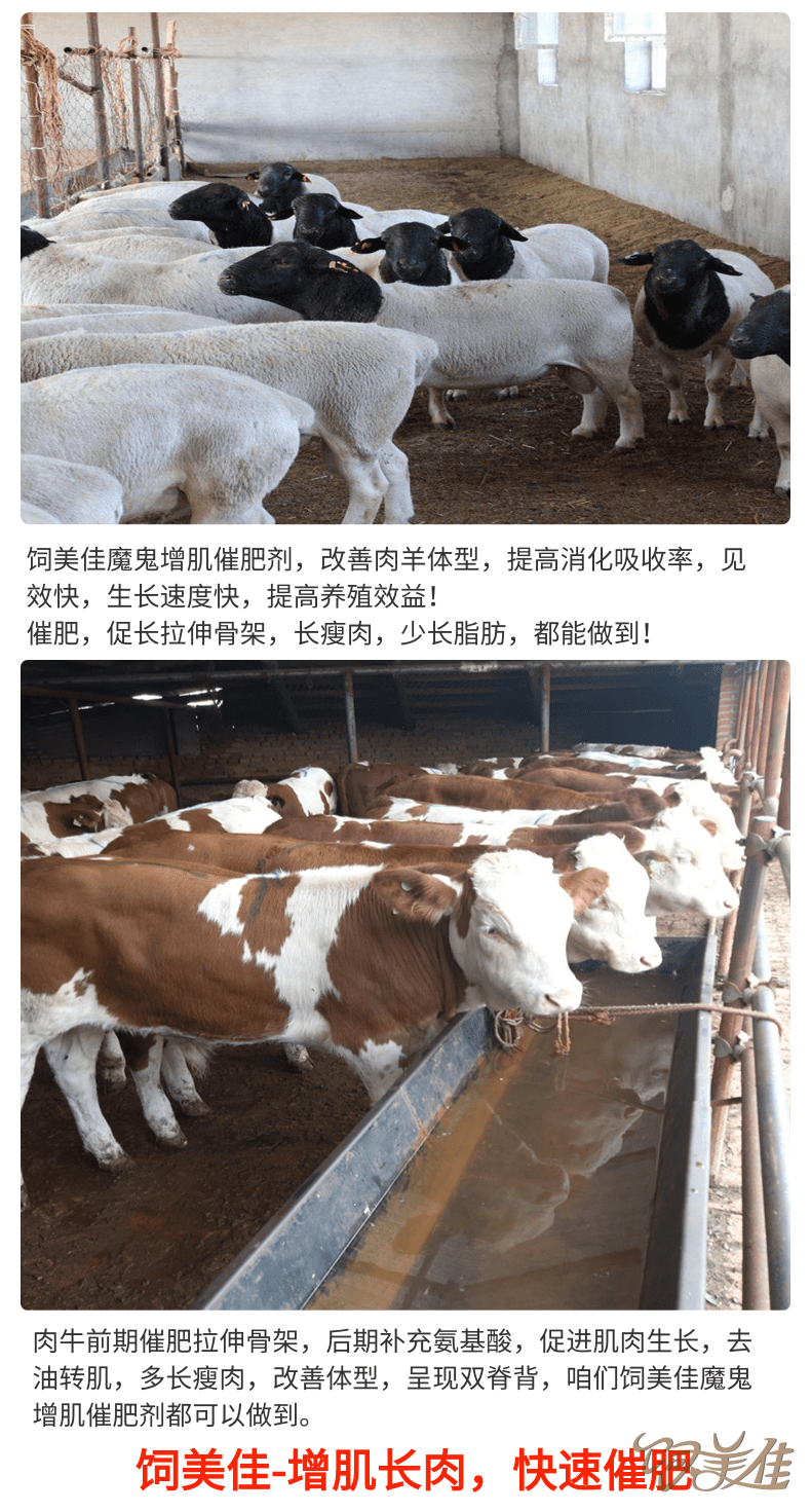 飼美佳牛羊催肥劑