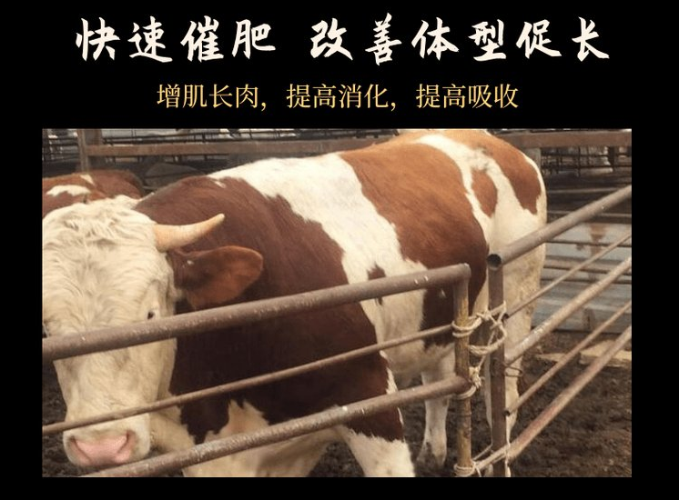 牛料添加劑什么牌子好？