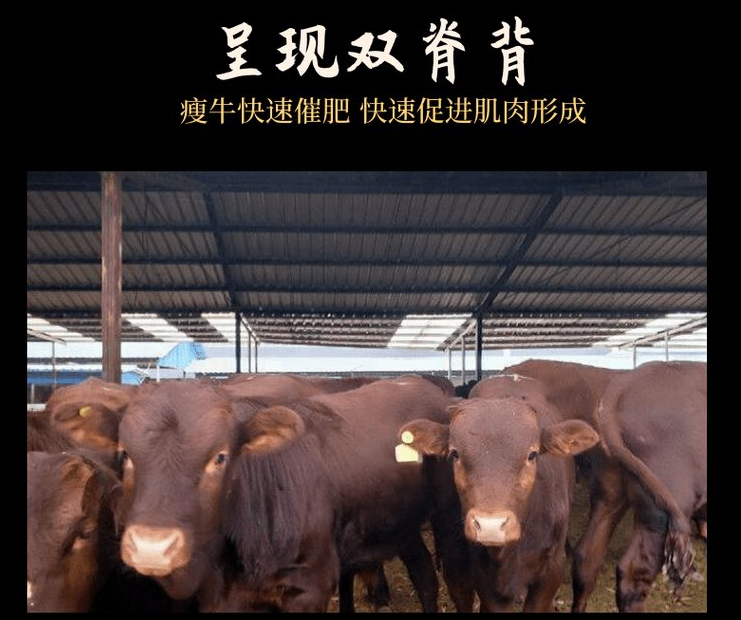 牛料添加劑什么牌子好？