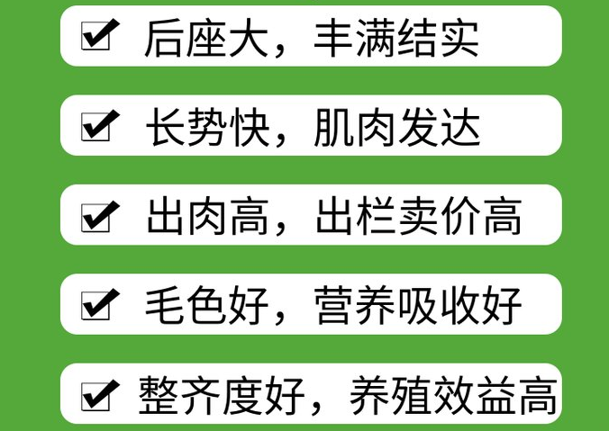 羊用催肥激素藥有哪些？