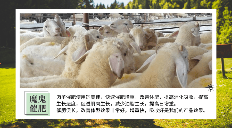 羊催肥飼料添加劑有哪些品牌？
