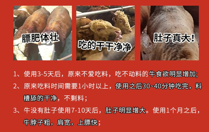 哪些物質(zhì)能使牛羊動物瘦肉增加