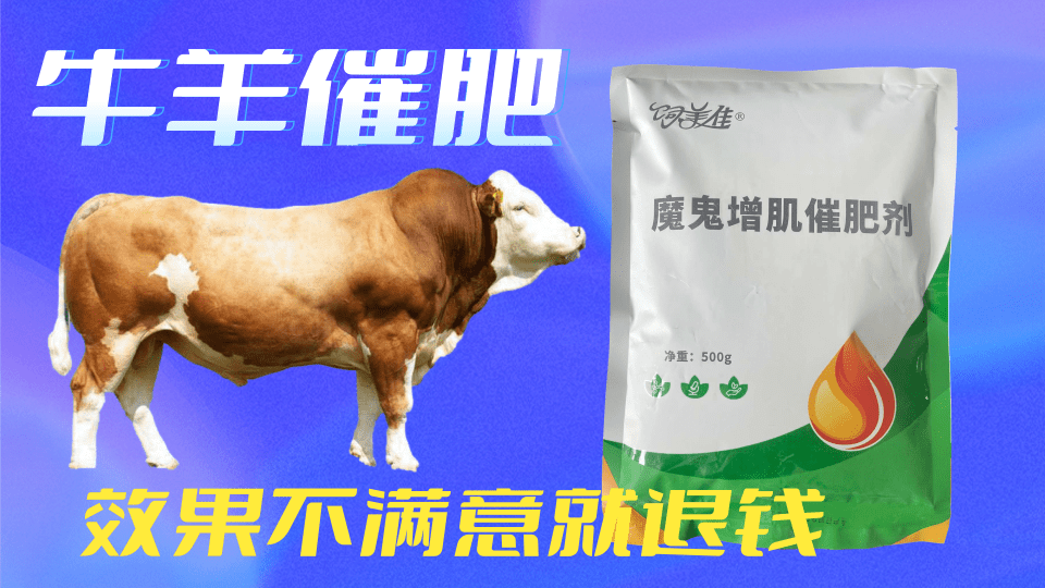 科技風(fēng)會(huì)議邀請(qǐng)函橫版海報(bào).png